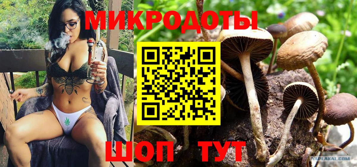 Псилоцибиновые грибы Psilocybine cubensis  Вход с VPN  Кстово 